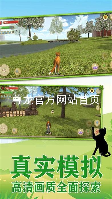 尊龙官方网站首页