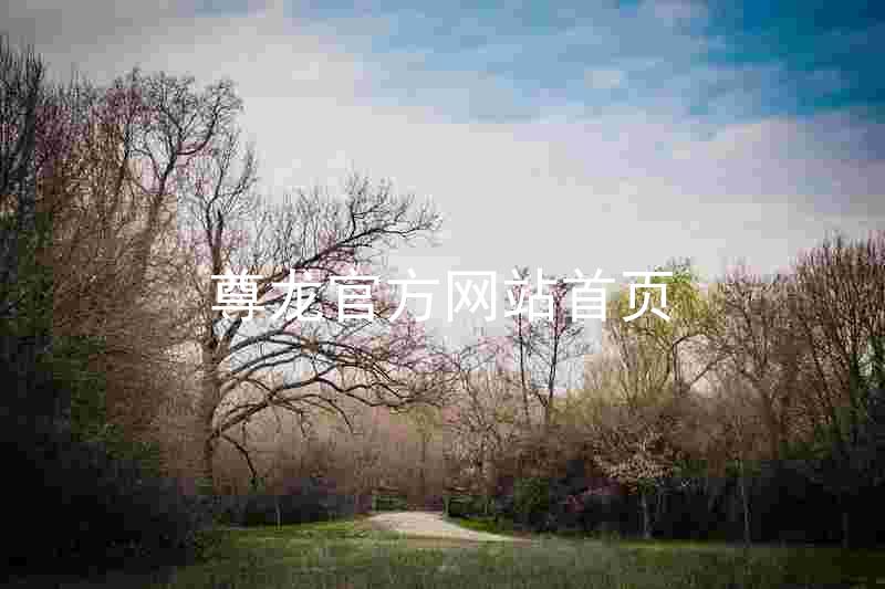 尊龙官方网站首页