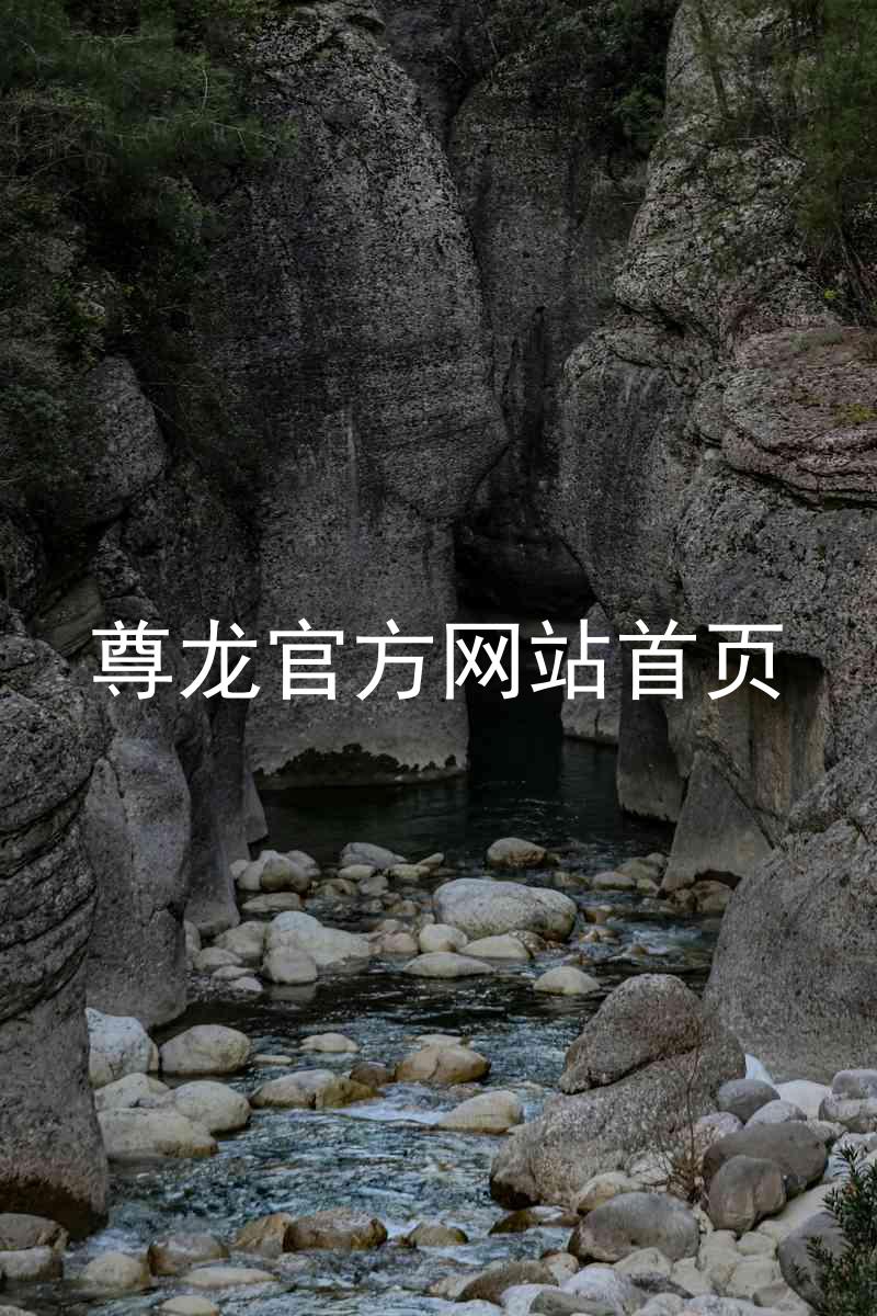 尊龙官方网站首页