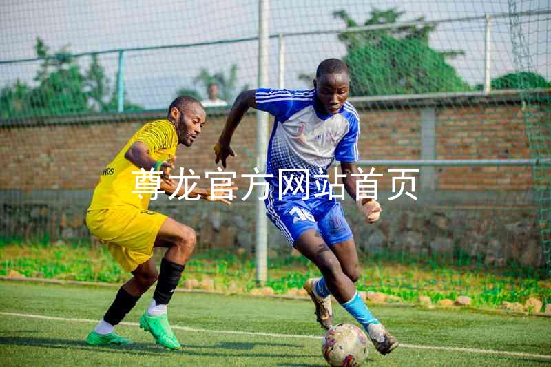 尊龙官方网站首页